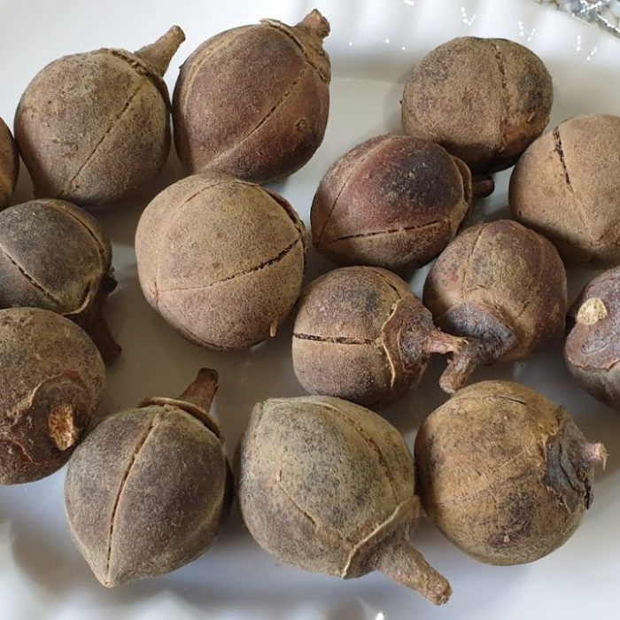 Matohwe